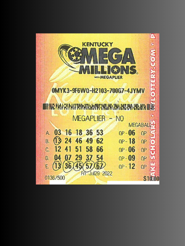 Untitled design (14)