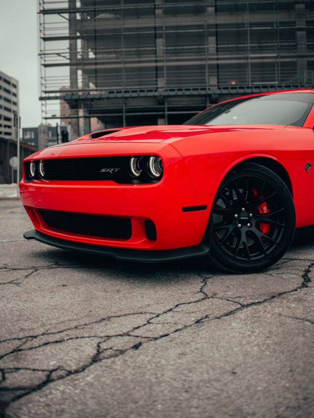 pexels-lee-chinyama-9703460 (2)