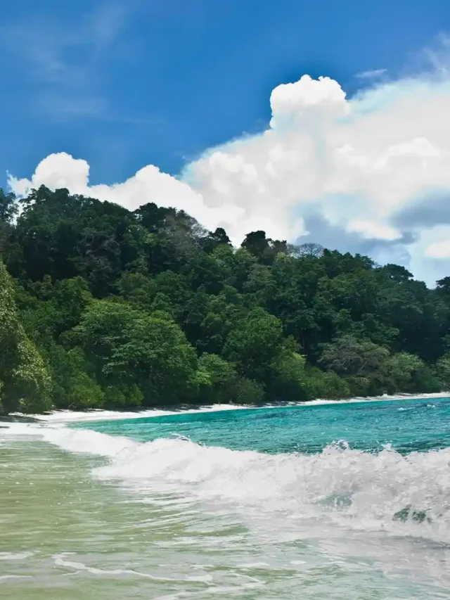 Top 10 destinations in Andaman to Visit in 2024